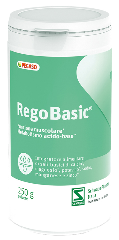REGOBASIC POLVERE 250 G - Newepa Srl