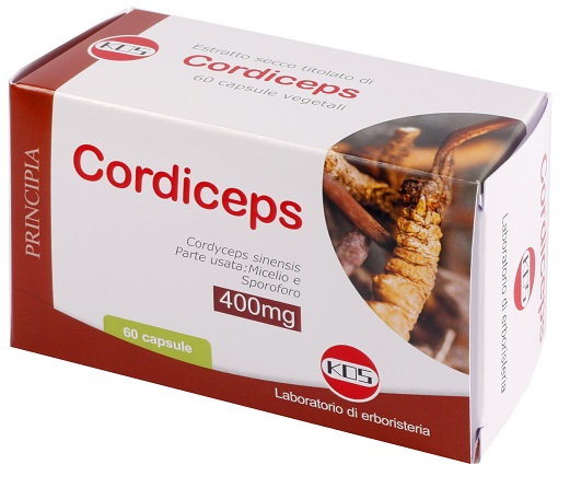 CORDICEPS ESTRATTO SECCO 60 CAPSULE - Newepa Srl