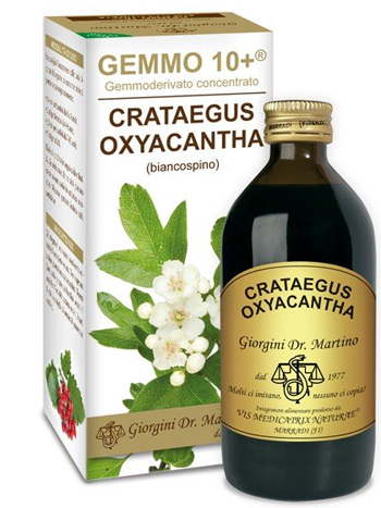 GEMMO 10+ BIANCOSPINO LIQUIDO ANALCOLICO 200 ML - Newepa Srl