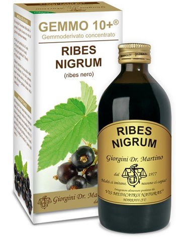 GEMMO 10+ RIBES NERO 200 ML LIQUIDO ANALCOLICO - Newepa Srl
