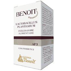 BENOIT LACTOBACILLUS PLANTHARUM 30 CAPSULE - Newepa Srl