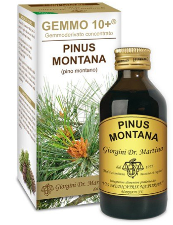 GEMMO 10+ PINO MONTANO 100 ML LIQUIDO ANALCOLICO - Newepa Srl