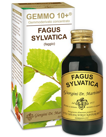 GEMMO 10+ FAGGIO 100 ML LIQUIDO ANALCOLICO - Newepa Srl