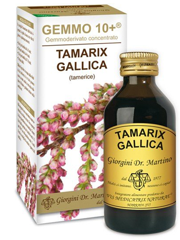 GEMMO 10+ TAMERICE 100 ML LIQUIDO ANALCOLICO - Newepa Srl