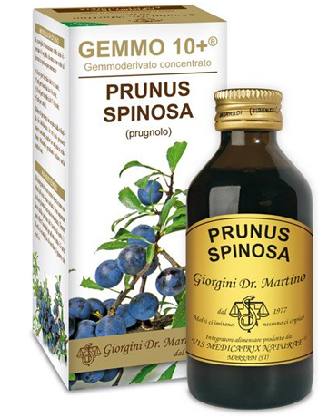 GEMMO 10+ PRUGNOLO 100 ML LIQUIDO ANALCOLICO - Newepa Srl