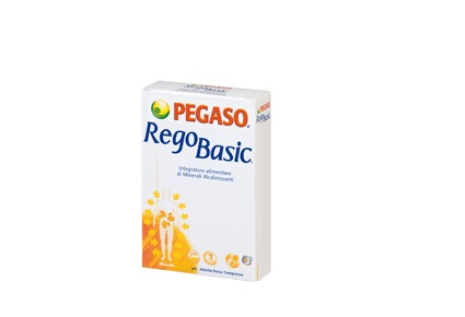 REGOBASIC 12 BUSTINE POLVERE - Newepa Srl