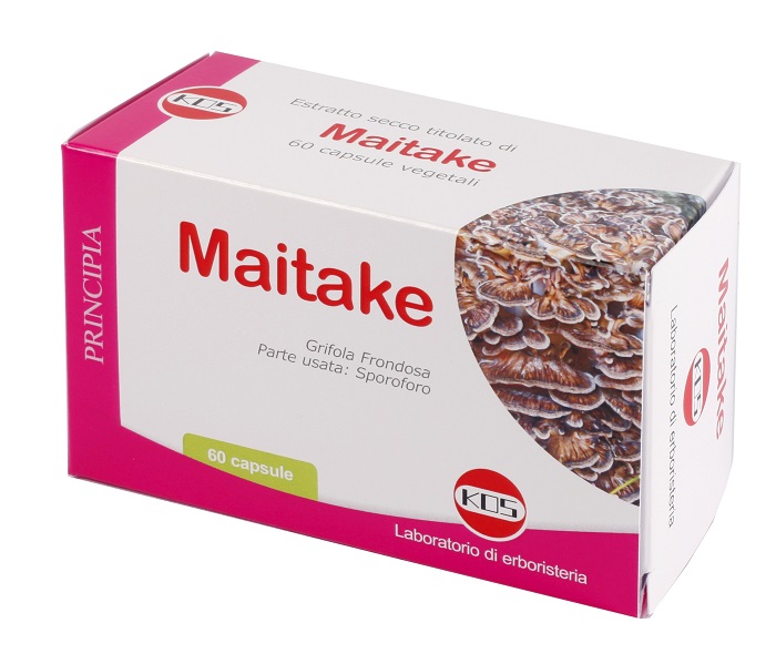 MAITAKE ESTRATTO SECCO 60 CAPSULE - Newepa Srl