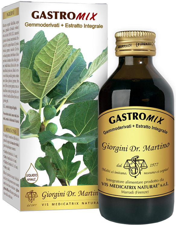 GASTROMIX LIQUIDO ANALCOLICO 200 ML - Newepa Srl