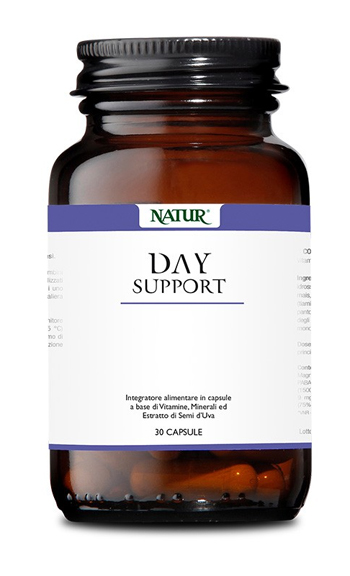 DAY SUPPORT 30 CAPSULE - Newepa Srl