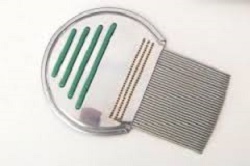 PETTINE ACCIAIO PER RIMOZIONE PIDOCCHI - Newepa Srl