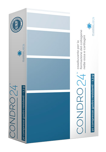 CONDRO24 30 COMPRESSE - Newepa Srl