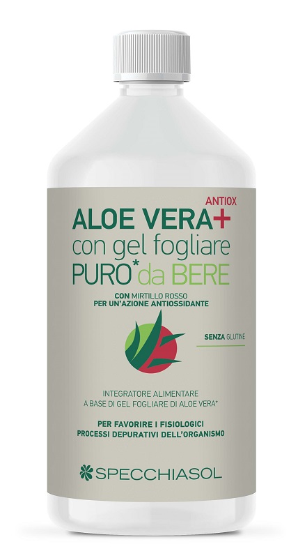 SUCCO ALOEVERA+ ALOE/MIRTILLO ROSSO 1 LITRO - Newepa Srl