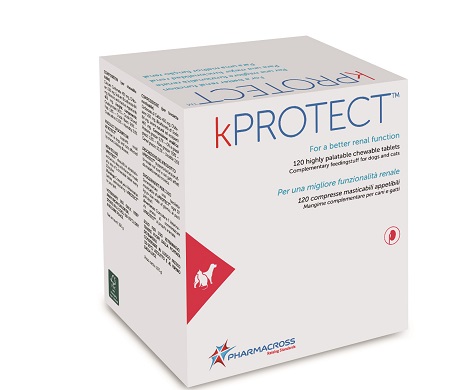 KPROTECT 120 COMPRESSE MASTICABILI - Newepa Srl