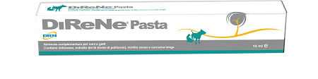 DIRENE PASTA 15 ML - Newepa Srl