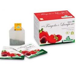 INFUSO BIO FRAGOLA E LAMPONE 20 FILTRI - Newepa Srl