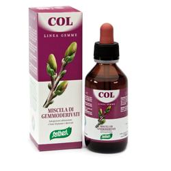 ZEFIRUS COL LINEA GEMME - Newepa Srl