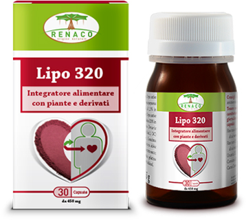 LIPO 320 30 CAPSULE - Newepa Srl