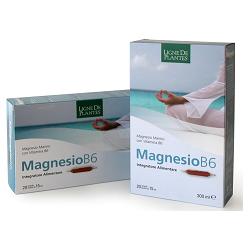 MAGNESIO B6 20 AMPOLLE BEVIBILI DA 15 ML - Newepa Srl