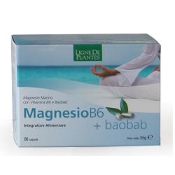 MAGNESIO B6 + BAOBAB 60 CAPSULE - Newepa Srl