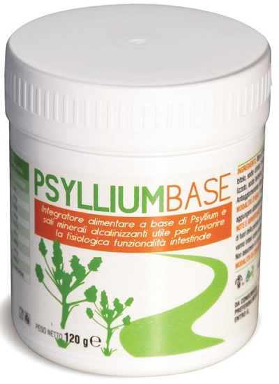 PSYLLIUM BASE POLVERE 120 G - Newepa Srl