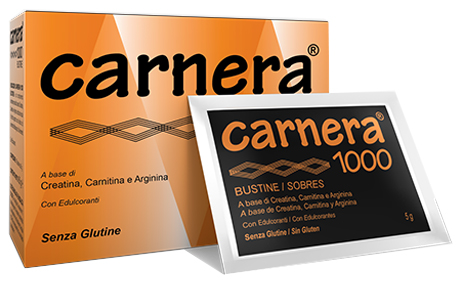 CARNERA 1000 18 BUSTINE - Newepa Srl