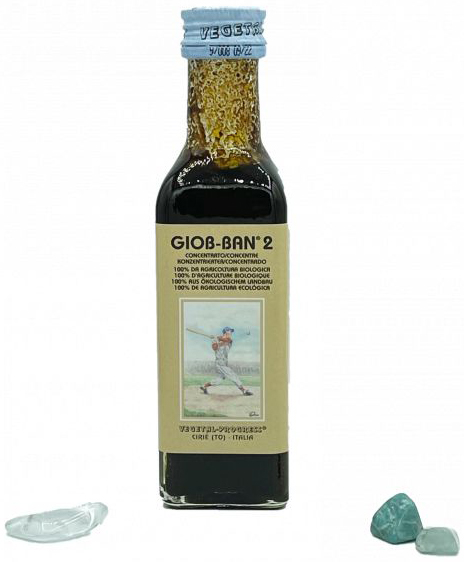 GIOB BAN 2 ART ESTRATTO CONCENTRATO BIOLOGICO 100 ML - Newepa Srl