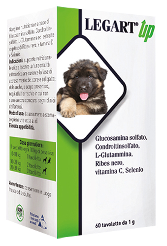 LEGART UP 60 COMPRESSE DA 1 G - Newepa Srl