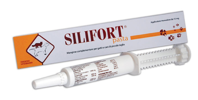 SILIFORT PASTA OS SIRINGA 30 G - Newepa Srl