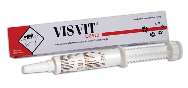 VISVIT PASTA OS SIRINGA 15 G - Newepa Srl