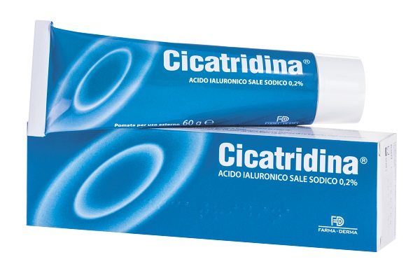 CICATRIDINA POMATA 60 G - Newepa Srl
