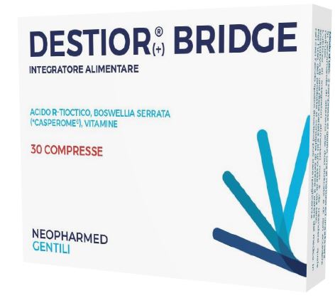 DESTIOR BRIDGE 30 COMPRESSE - Newepa Srl