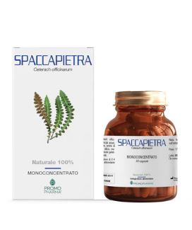 SPACCAPIETRA 50 CAPSULE - Newepa Srl