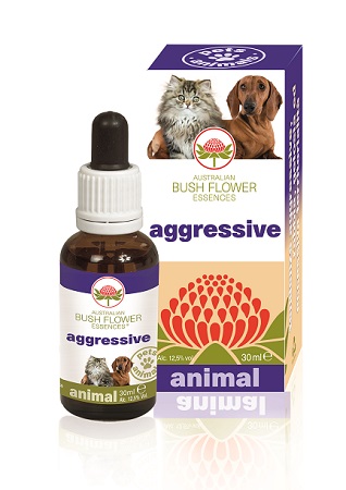 AGGRESSIVE 30 ML - Newepa Srl