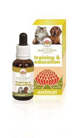 TRAINING & EDUCATION 30 ML - Newepa Srl