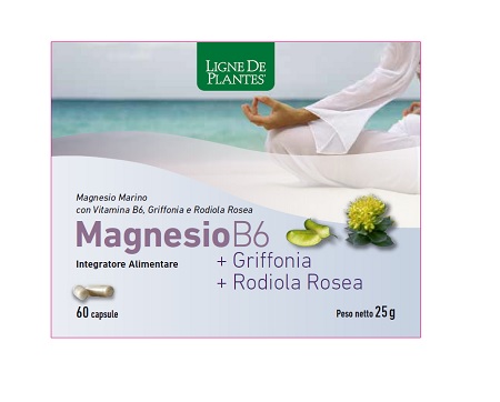 MAGNESIO B6 + GRIFFONIA + RODIOLA 60 CAPSULE - Newepa Srl