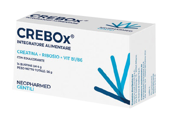 CREBOX 14 BUSTINE - Newepa Srl
