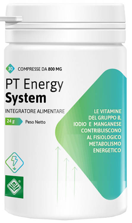 PT ENERGY SYSTEM 30 COMPRESSE - Newepa Srl