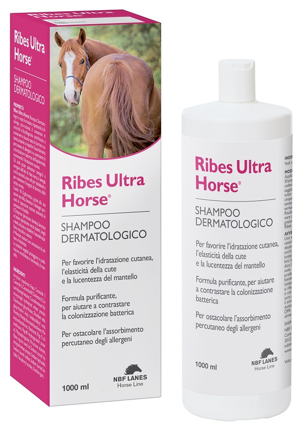 RIBES HORSE ULTRA SHAMPOO DERMATOLOGICO 1 LITRO - Newepa Srl