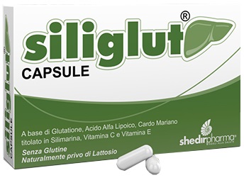 SILIGLUT 20 CAPSULE - Newepa Srl
