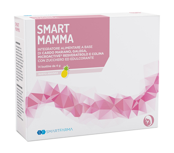 SMART MAMMA 14 BUSTINE GUSTO ANANAS - Newepa Srl