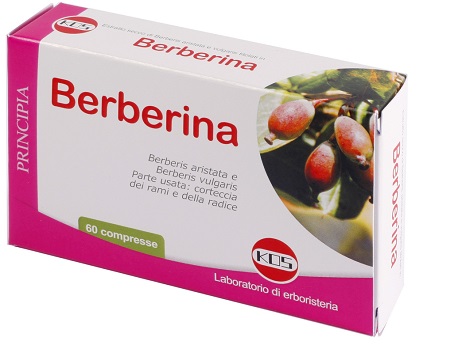 BERBERINA ESTRATTO SECCO 60 COMPRESSE - Newepa Srl