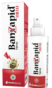 BANZAPID SPRAY TRATTAMENTO 100 ML - Newepa Srl