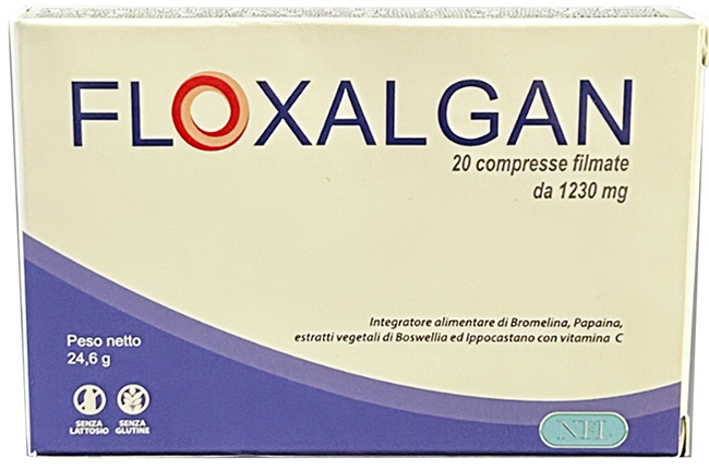 FLOXALGAN 20 COMPRESSE RIVESTITE DA 1,02 G - Newepa Srl