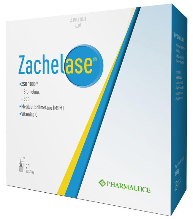 ZACHELASE 20 BUSTINE - Newepa Srl