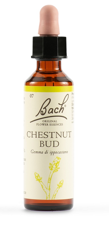 CHESTNUT BUD BACH ORIG 20 ML - Newepa Srl