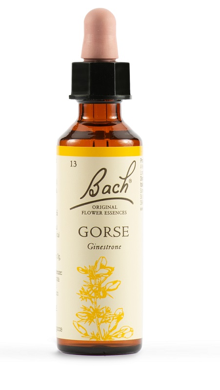 GORSE BACH ORIG 20 ML - Newepa Srl