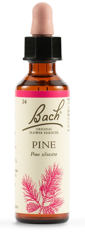 PINE BACH ORIG 20 ML - Newepa Srl
