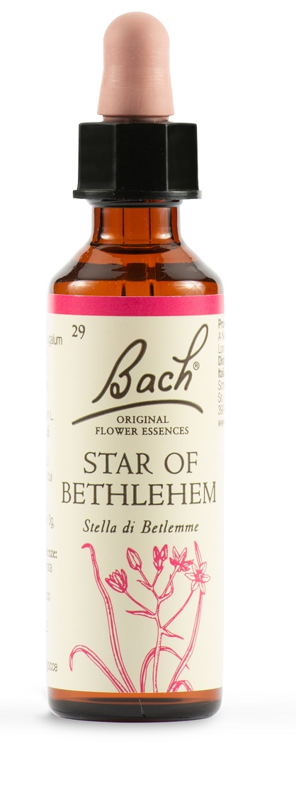 STAR OF BETHL ORIG 20 ML - Newepa Srl
