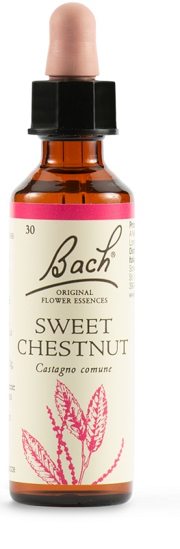 SWEET CHEST BACH ORIG 20 ML - Newepa Srl