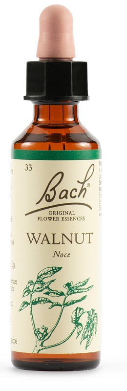 WALNUT BACH ORIG 20 ML - Newepa Srl